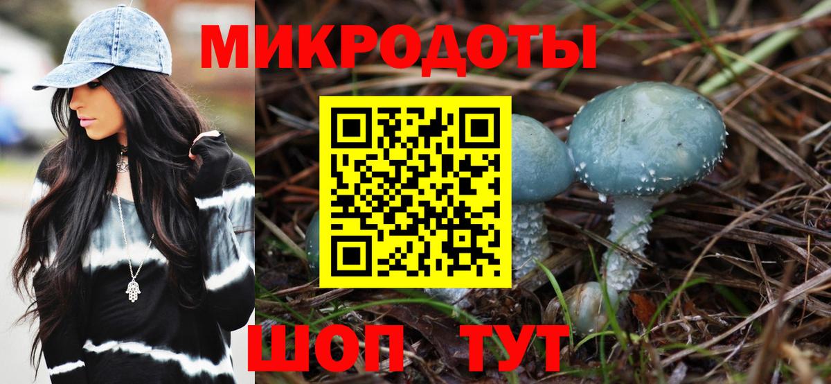 Псилоцибиновые грибы GOLDEN TEACHER Корсаков