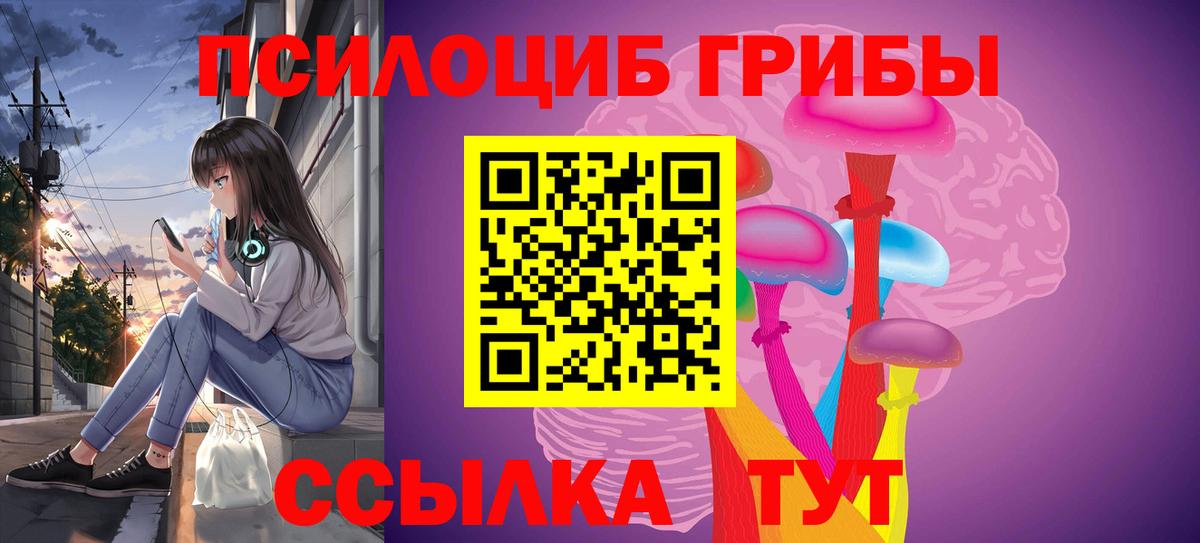 купить наркоту  Псилоцибиновые грибы Magic Shrooms  Вход с VPN  Галлюциногенные грибы Psilocybine cubensis  Корсаков 
